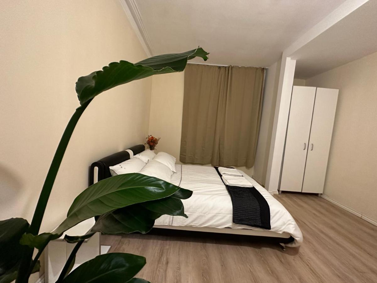 North London A Spacious 7 Bedroom House Accommodating Up To 18 People Complete With Own Gym And Table Tennis ภายนอก รูปภาพ